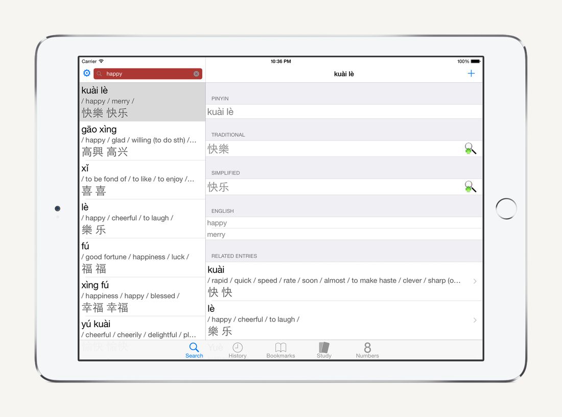 DianHua Dictionary search results on iPad